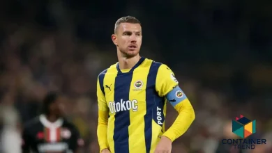 رسميًا.. إدين دجيكو يعود إلى الدوري الإيطالي