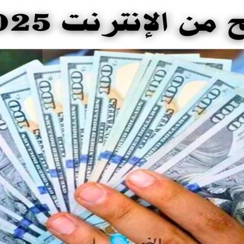 دليلك الشامل: الربح من الإنترنت لعام 2025